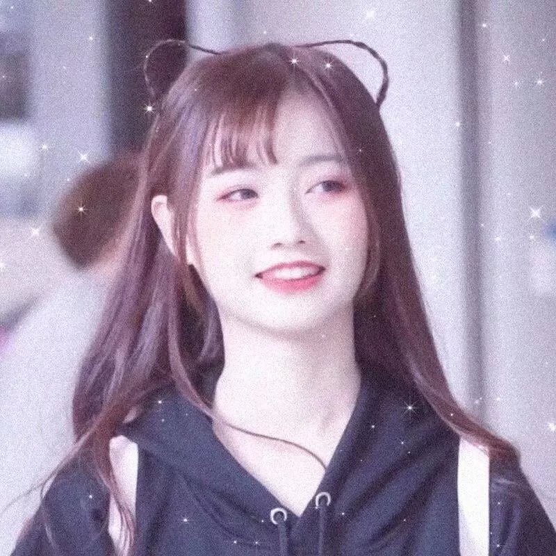 倒霉熊的杯子之旅
